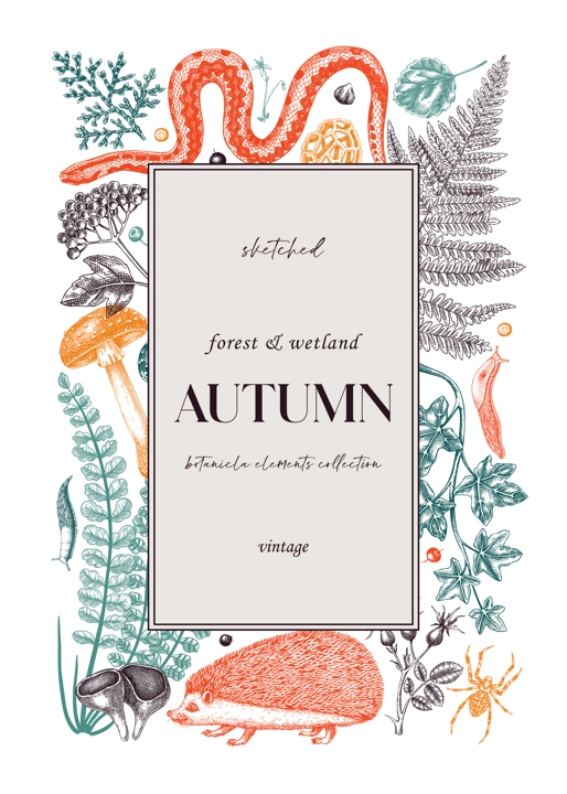 Forest frame in color. Hand-drawn autumn plants, fall leaves, mushrooms, ferns, woodland animals sketches. Decorative fall background in vintage style for banner, print, greeting card, invite